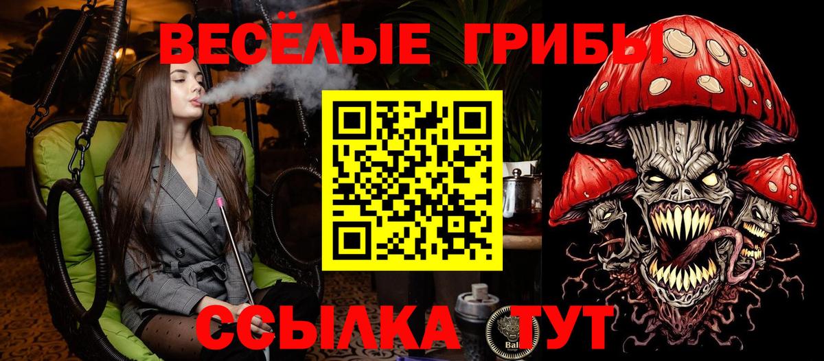 Псилоцибиновые грибы Cubensis Старая Купавна